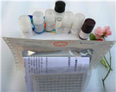 ţ�м���/��ͪ��PROG��ELISAԇ����