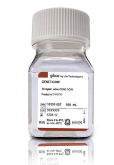 ����Ѫ��