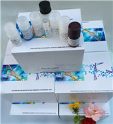 ����μ�(x��)�����L���ӣ�HGF��ELISAԇ����