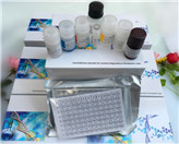 �˷����԰׼�������ø�������ӣ�SLPI��ELISAԇ����