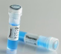 �I�����������w��2���w