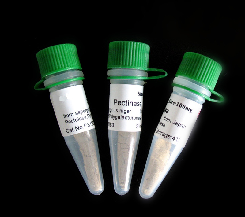 �������������ӿ��w