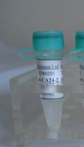  �ؽMĤճ�B����-5���ˣ����w