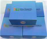 ���Ӱ׽���8��IL-8/CXCL8��ELISAԇ���� 