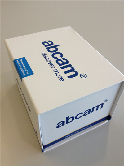  �}���|(zh��)�ؿ��w