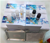 ���󼚰��gճ������3��ICAM-3/CD50��ELISAԇ����