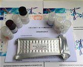 С��Ѫ�܃�Ƥ����ճ������1ø(li��n)����ԇ����