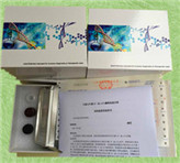 ����ǘ��أ�OPN��ELISAԇ����