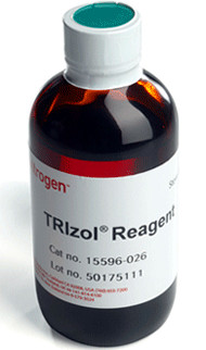 ������������|��ͪ������|3-���������һ���