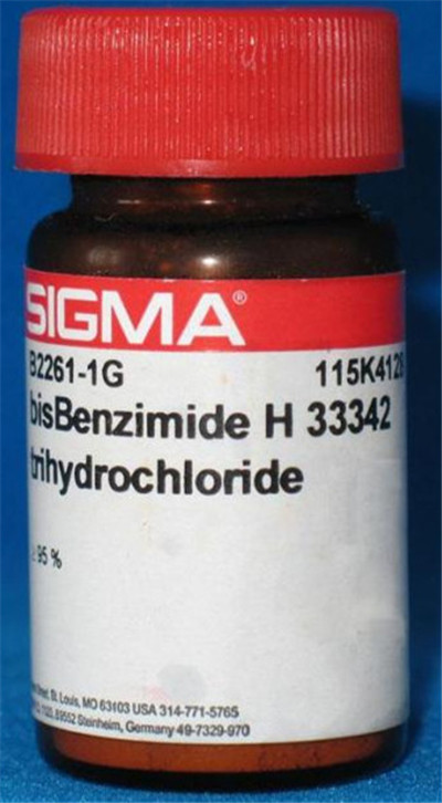 DL-�Ȱ�����