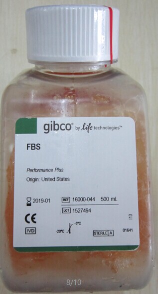 16000-044̥ţѪ��