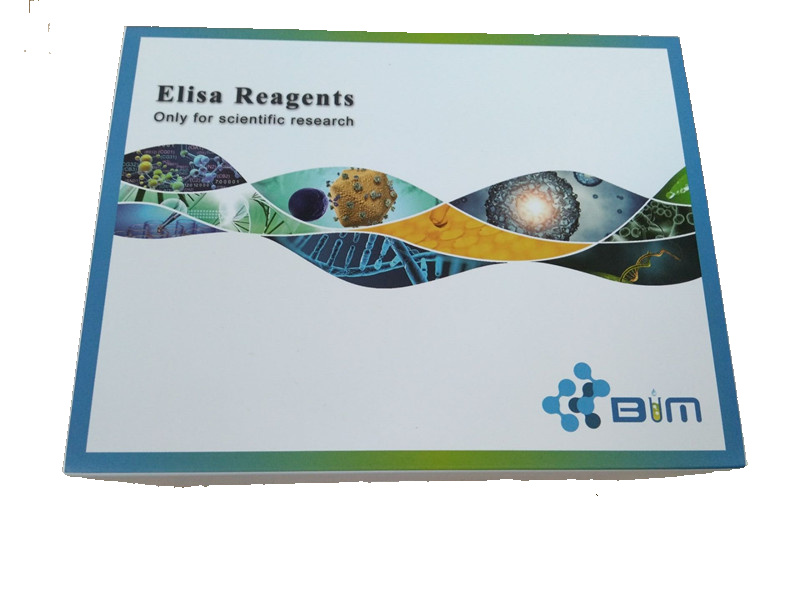 ţ�����������ʶ������ᣨNAD��ELISAԇ���Ѓr��