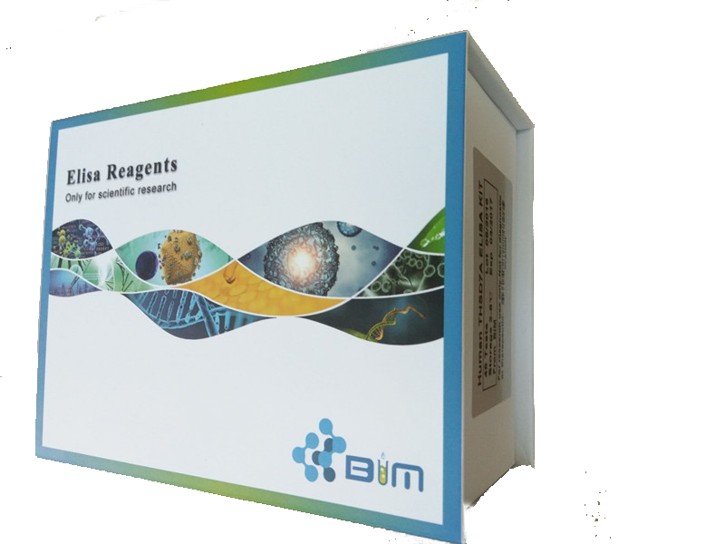 ���D(zhu��n)�����L���Ӧ£�TGF-�£�ELISAԇ���д��y