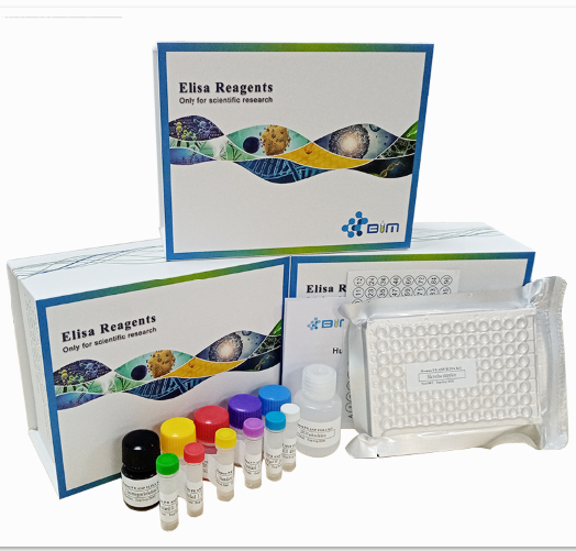 ��Yes�P(gu��n)(li��n)����1��YAP1��ELISAԇ����