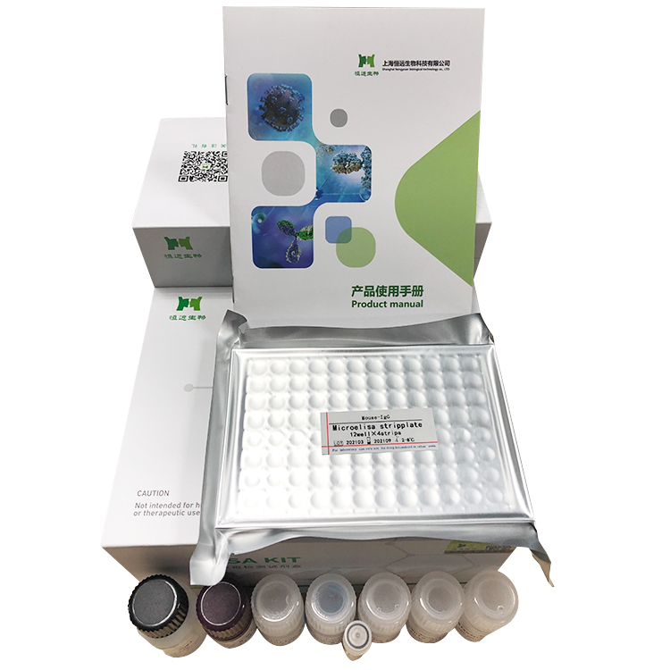 ���x��������ø (DAO) 