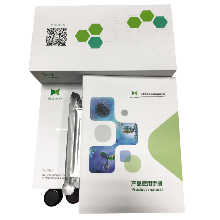 ΢���ﰱ�μ���ø (AMO)