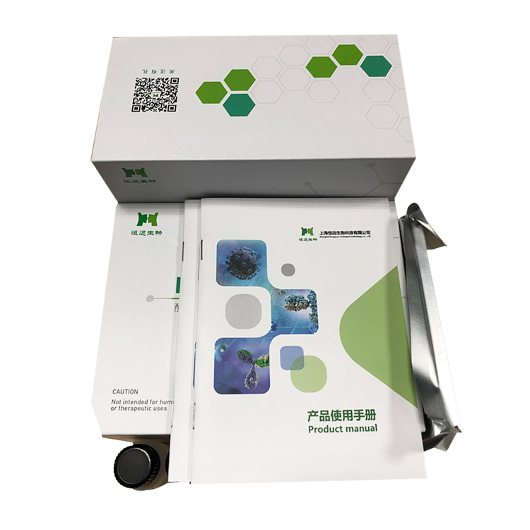 ΢�����u������߀ԭø  �� HAO ��     